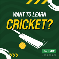 Time to Learn Cricket Instagram Post Design