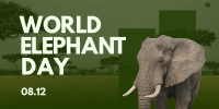 World Elephant Celebration Twitter post Image Preview