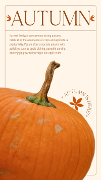 Autumn Pumpkin Instagram Story Design