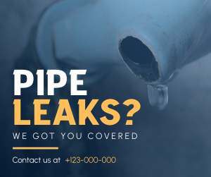 Leaky Pipes Facebook post Image Preview