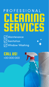 Professional Cleaning Services Instagram Story Design