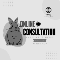 Online Consult for Pets Instagram post Image Preview