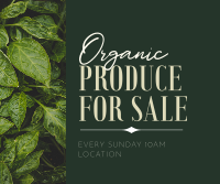 Come and Buy Our Fresh Produce Facebook Post Design