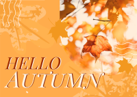 Autumn Greeting Postcard Design