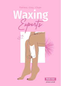 Waxing Experts Flyer Image Preview