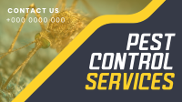 Straight Forward Pest Control Facebook event cover Image Preview