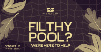 Filthy Pool? Facebook ad Image Preview