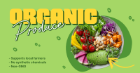 Healthy Salad Facebook Ad Design