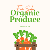 Organic Produce For Sale Instagram Post Design