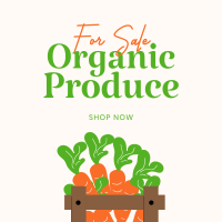 Organic Produce For Sale Instagram post Image Preview