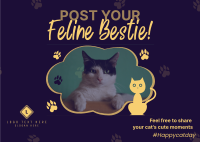 Cat Appreciation Post  Postcard Image Preview