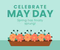 Celebrate May Day Facebook Post Design