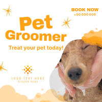 Professional Pet Groomer Instagram post Image Preview
