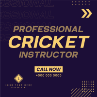 Let's Play Cricket Linkedin Post Design