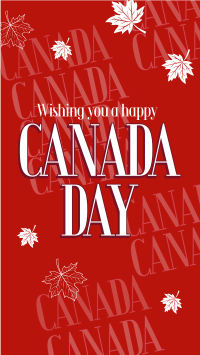 Hey Hey It's Canada Day Instagram Story Design