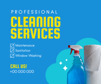 Professional Cleaning Services Facebook post Image Preview