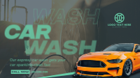 Professional Car Cleaning Animation Preview