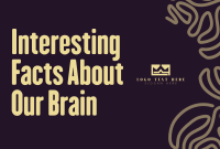 Fun Facts About Our Brain Pinterest Cover Design
