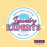 Laundry Experts Linkedin Post Image Preview