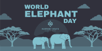 Amazing Elephants Twitter Post Design