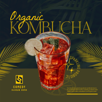 Organic Kombucha Instagram post Image Preview