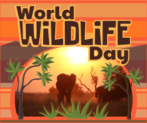 Modern World Wildlife Day Facebook post Image Preview