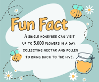 Bee Day Fun Fact Facebook Post Design