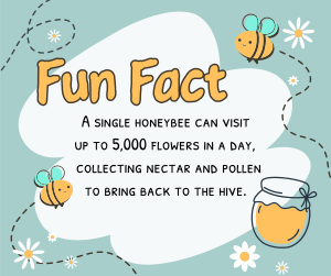 Bee Day Fun Fact Facebook post Image Preview