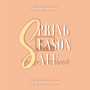 Spring Sale Instagram post Image Preview