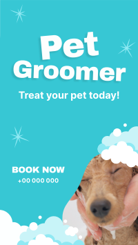 Professional Pet Groomer Facebook Story Design