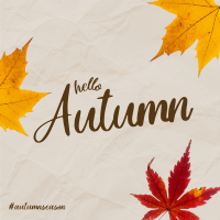 Autumn Leaves Linkedin Post Image Preview