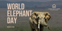 World Elephant Day Twitter post Image Preview