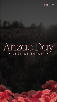 Anzac Poppies Instagram story Image Preview