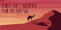 Desert Camel Twitter Post Design