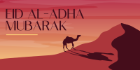 Desert Camel Twitter post Image Preview