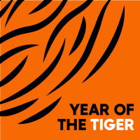 Tiger Stripes Instagram Post Design