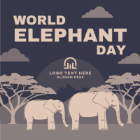Amazing Elephants Instagram Post Design