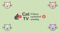Colorful Cat Show YouTube Banner Design