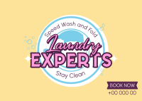Laundry Experts Postcard Image Preview