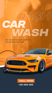 Professional Car Cleaning TikTok video Image Preview