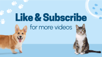 Pet Vaccination YouTube Video Design