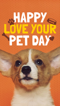 Wonderful Love Your Pet Day Greeting Facebook Story Image Preview