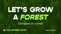 Forest Grow Tree Planting Video Image Preview