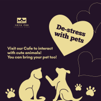 De-stress Pet Cafe  Instagram post Image Preview