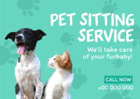Pet Sitting Service Postcard Design