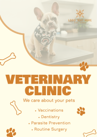 Professional Veterinarian Clinic Flyer Design