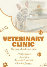 Professional Veterinarian Clinic Flyer Image Preview