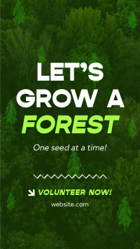 Forest Grow Tree Planting Video Image Preview