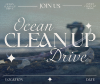 Y2K Ocean Clean Up Facebook post Image Preview