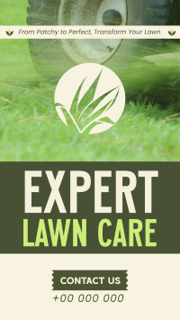 Minimalist Lawn Care Experts TikTok Video Preview